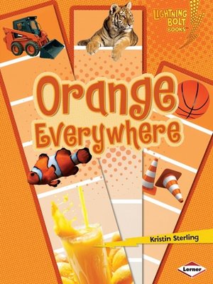 cover image of Orange Everywhere